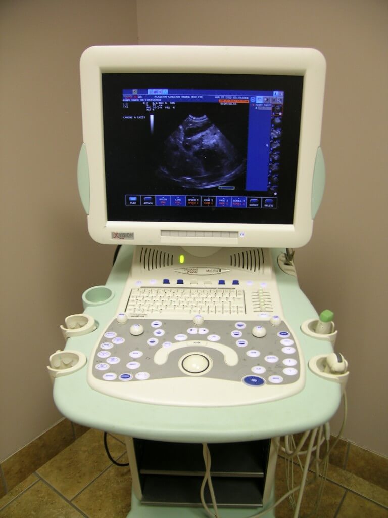 Plaistow-Kingston Animal Medical Center ultrasound