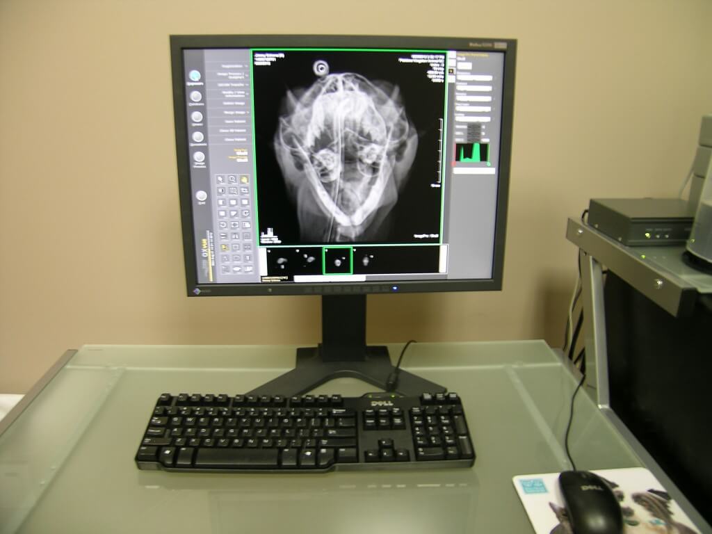 Plaistow-Kingston Animal Medical Center digital radiography